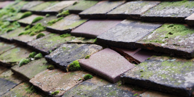 Weston Green roof repair costs